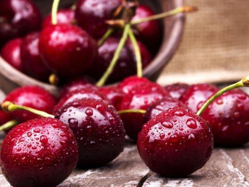 Вишня купить саженцы из питомника в Токмаке